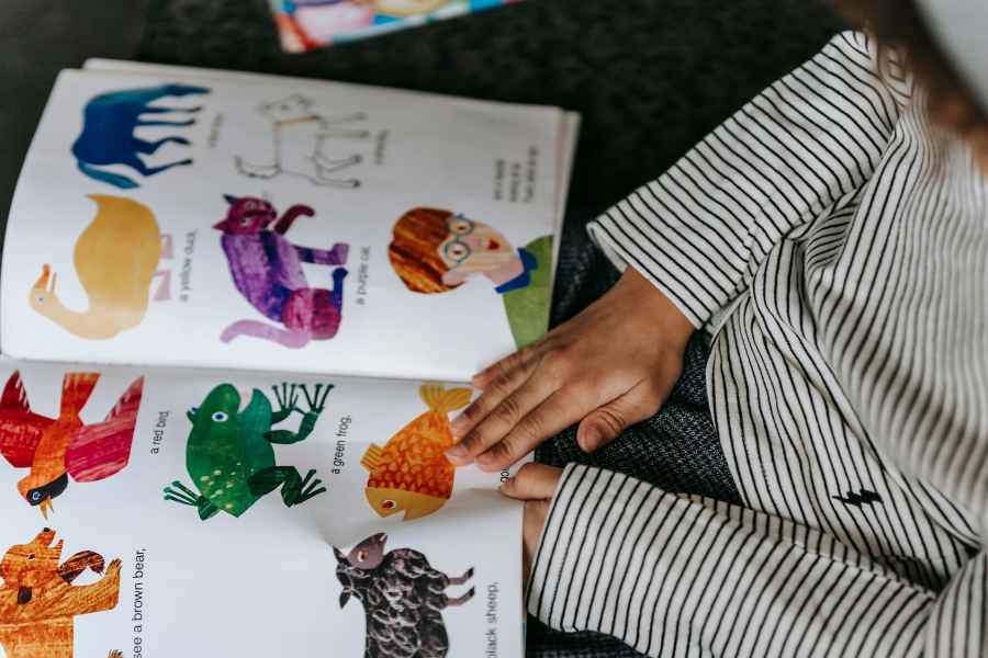 Libros y material didáctico para la estimulación del lenguaje 